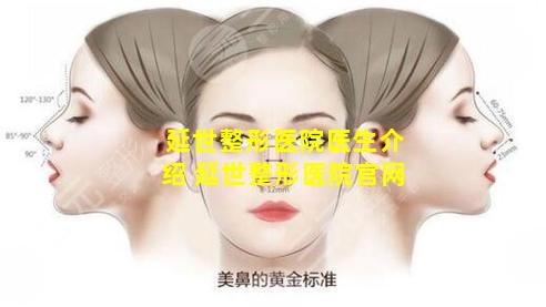 延世整形医院医生介绍 延世整形医院官网